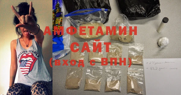 мет Алексин