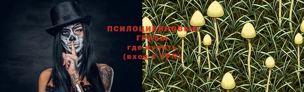 ПСИЛОЦИБИНОВЫЕ ГРИБЫ Алапаевск