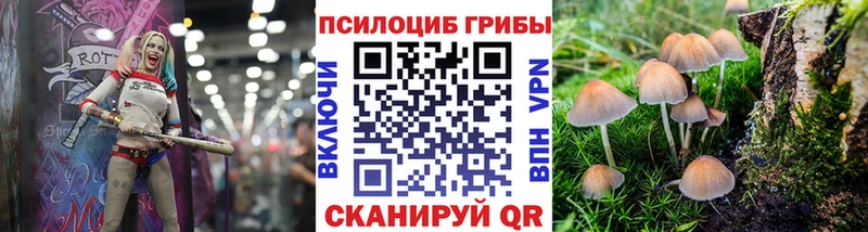 площадка как зайти  где продают наркотики  Благодарный  Галлюциногенные грибы мицелий 