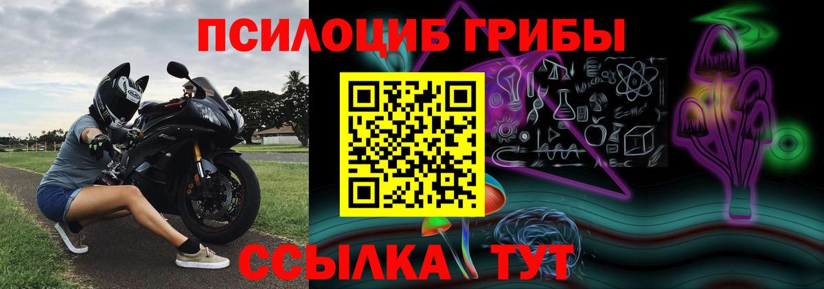 Благодарный  Псилоцибиновые грибы мухоморы  Вход с VPN 