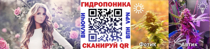 дарнет шоп  Благодарный  Бошки Шишки VHQ 